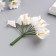 Decor for creativity "White Calles" (set-Book 12 flowers) 10 cm