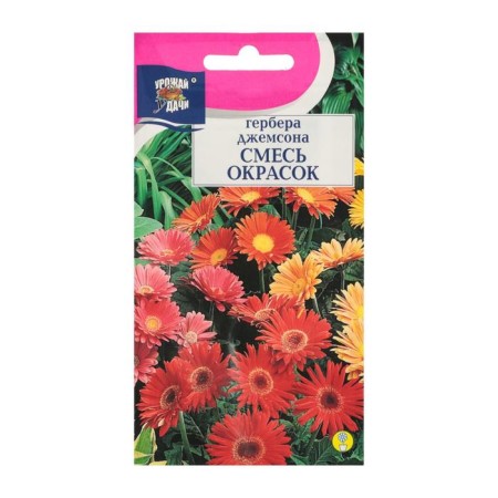 Gerbera flowers "Jameson", 0.02 g