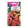 Gerbera flowers "Jameson", 0.02 g