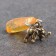 Talisman keychain "Elephant", natural amber
