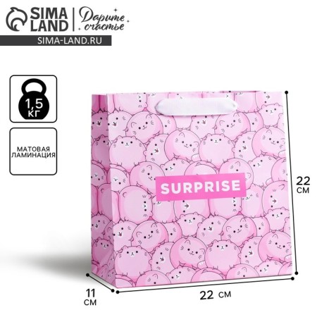 Gift laminated square, packaging, Surprise, 22 x 22 x 11 cm