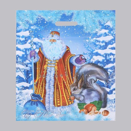 Santa Claus and Snow Maiden package, polyethylene with a cut pen, 41 x 51 cm, 80 μm