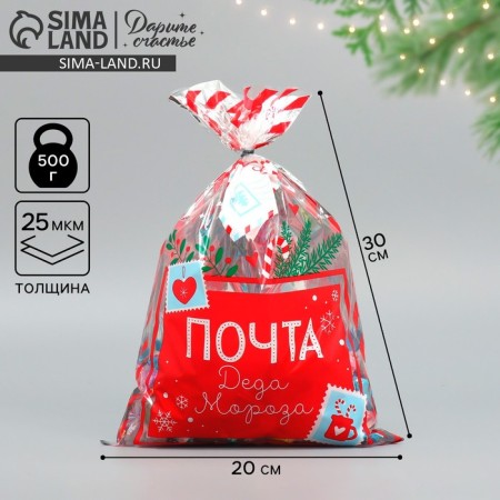 Plastic packet "Mail", 20 x 30 cm, New Year