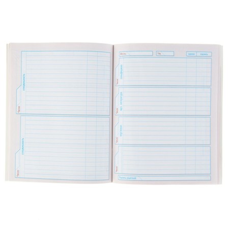 Diary for a music school, 48 sheets, "violin", cover of coated cardboard, with reference material, color block-1