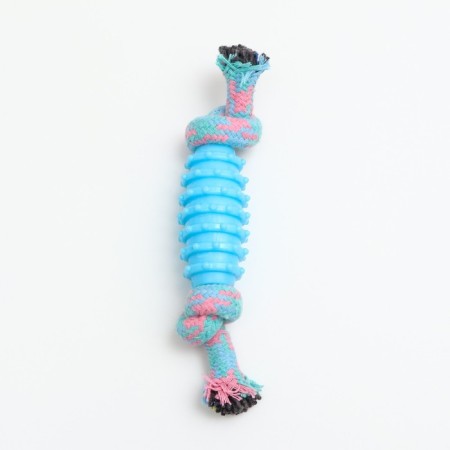 Chewing toy "Element", 17 x 3.2 cm, blue/pink-1