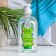 Liquid soap "dispersion" for the hands and body birch, 500 ml*12