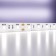 Maytoni Led Strip 10170, 24V, 5 m, IP20, 5050, 14.4 W/m, 10x2, 6000K, monochrome
