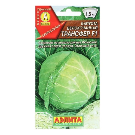 Cabbage seeds White "Transfer" F1 "Leader", 0.1 g.-4