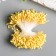 Stamens for flowers "Dropping yellow" D = 1.5 mm set 400 pcs length 6 cm