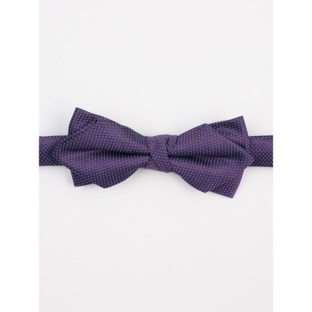 ISEE BOOK tie for boys, purple color, blue-1
