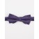 ISEE BOOK tie for boys, purple color, blue