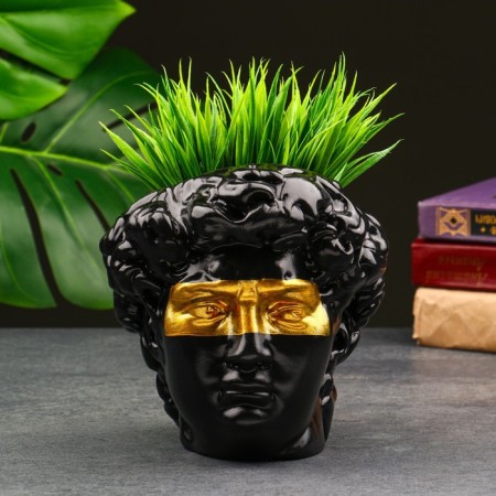 Kashpo - organizer "David's head, large" black, gold, 16 cm-1