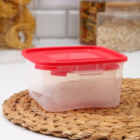 A set of food containers "Cascade", 2 pcs: 460 ml, 1 l, color mix-4