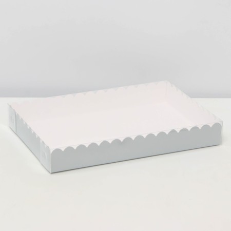 Box for cookies, silver, 22 x 15 x 3 cm