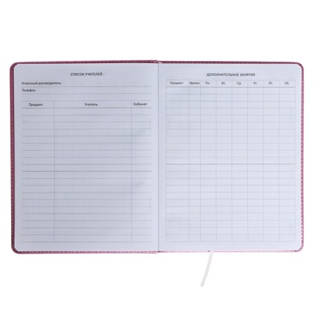 Universal diary for Butterfly 1-11 grade, hard cover, artificial leather, foam rubber, liesse, 80 g/m2-5