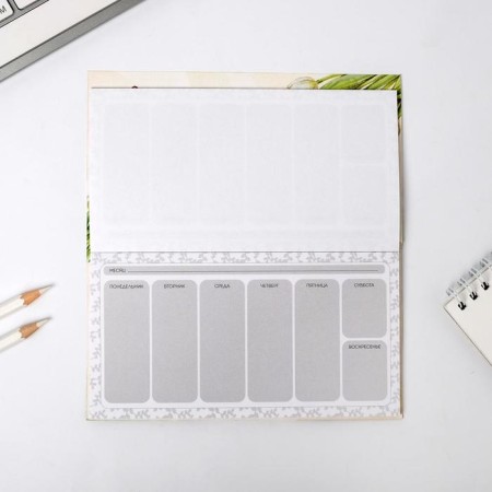 Gift set "Teacher": A5 diary, 80 sheets, planing with tear -off sheets, 50 sheets-10