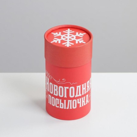Gift Box "New Year's Enterprise", 8 x 14.5 cm, New Year-2