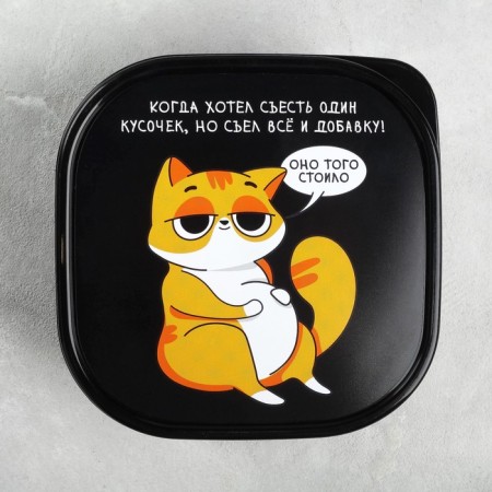 Lancer-Box "Cat", 700 ml-2