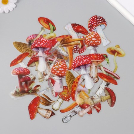 Stickers for creativity PLC PVC "Mushroom Stories" set 40 pcs 9x10.5 cm-1
