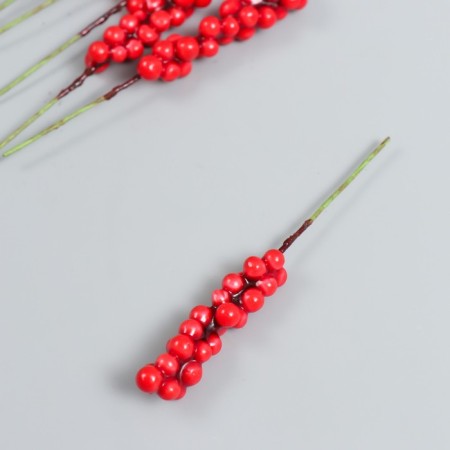 Decor for creativity "Vetochka with berries" Red set 10 pcs 1x1x9 cm-1