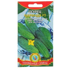 Seeds of the cucumber 