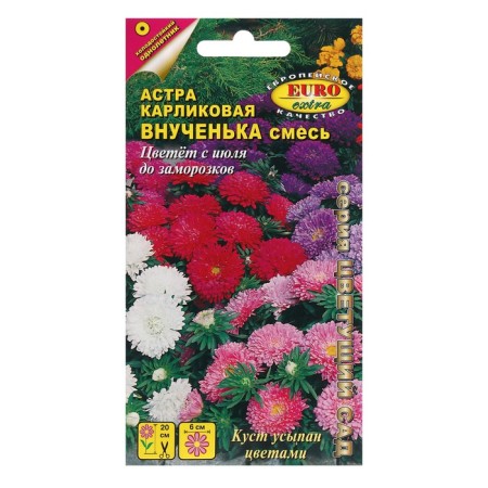 Flowers of Astra "granddaughter", a dwarf mixture, 0.1 g