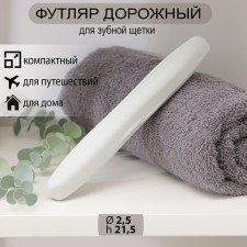 Case for toothbrush, gray color
