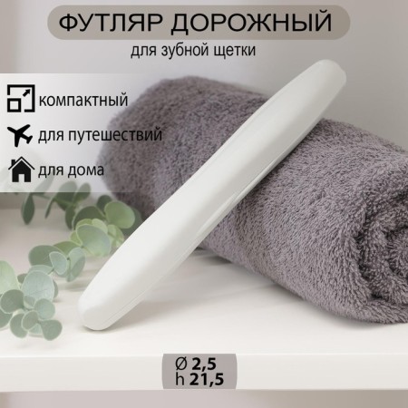 Case for toothbrush, gray color
