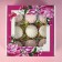 Self -charged box, with a window, "spring peonies", 19 x 19 x 9 cm