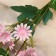 Artificial "Chrysanthemum" premium, 3.5x62 cm, pink