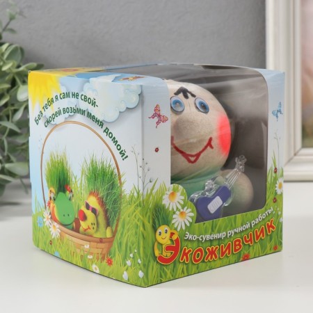Growing gift Eco -Zhizhivchik "Gitarist" in gift packaging-6