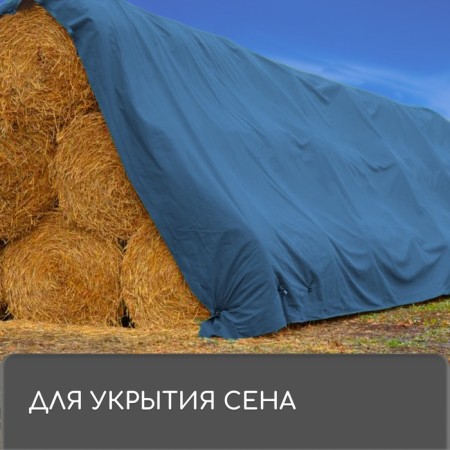Protective tent, 8 × 6 m, density 60 g/m², rifle steps 1 m, tarpaulin, UV, blue-9