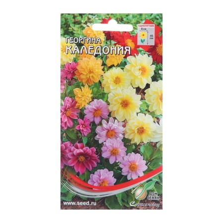 Georgin's flowers "Caledonia", 15 pcs