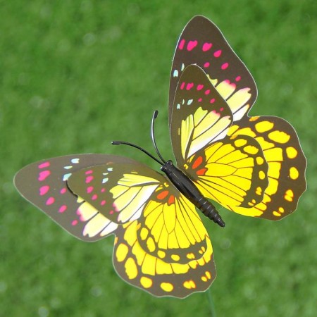 Plug "butterfly octavia" 8x10cm/25cm, mix-19