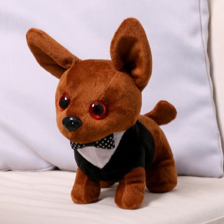 Soft toy "Chihuahua Robi" in clothes, 20 cm-1