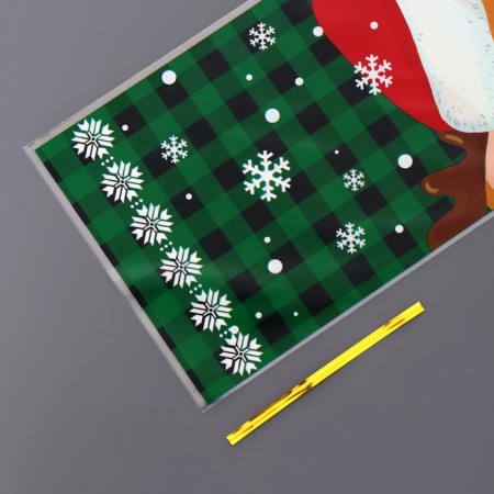 Gift package, "New Year Mix" 13x27 cm-15