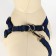 Acunition set is embossed, leash 120 x 1.5 cm, OG 36-49 cm, blue-black