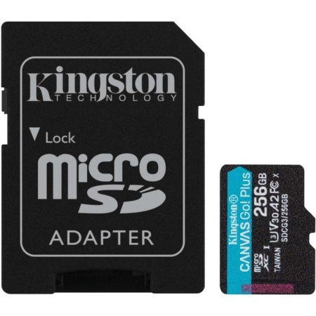 MicrosdxcCC memory map Kingston 256GB SDCG3/256GB Canvas GO! Plus + Adapter
