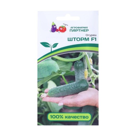 Cucumber seeds "Storm", F1, 5 pcs