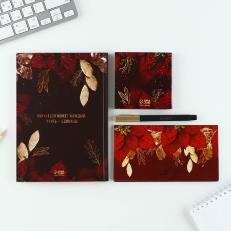 Gift set "Teacher No. 1": A5 diary, 80 sheets, planing, pen, paper block-3