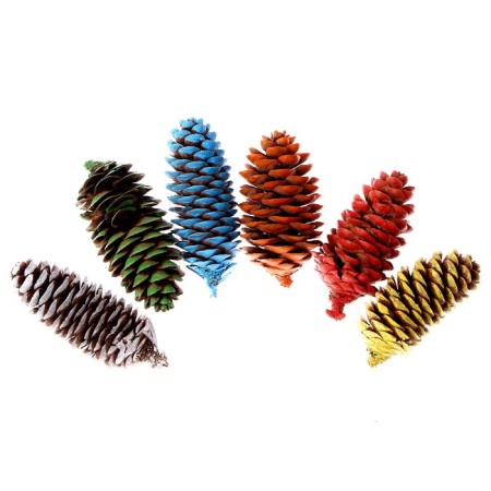 Set of spruce cones for decor "color" 6 pcs., Mix-1