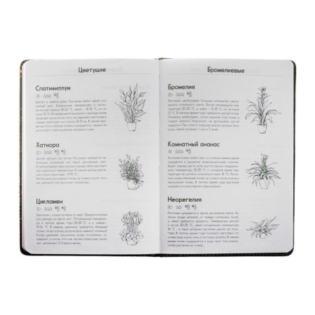Notebook A5, 96 sheets "Flowers", hard cover with foaming of artificial leather, foil embossing, pancake embossing, OFSET BLOCK 70g/m2-6