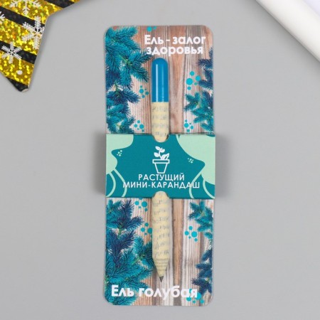 Growing gift pencils Mini spruce - the key to health "Glubny spruce"