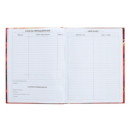 Diary for grades 5-11 anime. Man, hard cover, glossy lamination, 48 sheets-4