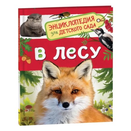Encyclopedia for kindergarten "in the forest"
