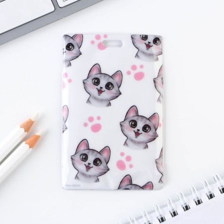 Case for passing "cat", 6.5 x 10 cm-1
