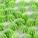 Meringue Green Sugar Konfinetta for decor of cupcakes, cake, cakes and drinks, 30 g.