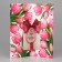 Volumetric postcard "Happy birthday", bow, 12 x 18 cm