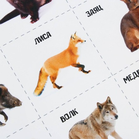 A set of training posters "Study the world", 10 in 1, A4-24