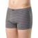 Male panties, size 48, gray color